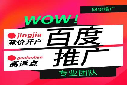 百度优化推广案例研究：如何提高网站转化率